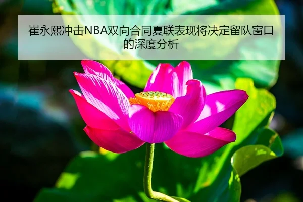 cui-yong-xi-chong-ji-shuang-xiang-he-tong-xia-lian-biao-xian-jiang-jue-ding-liu-dui-chuang-kou-de-shen-du-fen-xi-1-640.jpg