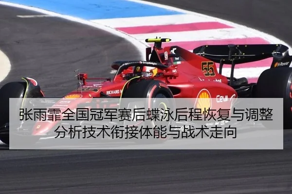zhang-yu-fei-quan-guo-guan-jun-sai-hou-die-yong-hou-cheng-hui-fu-yu-tiao-zheng-fen-xi-ji-shu-xian-jie-ti-neng-yu-zhan-1-737.jpg